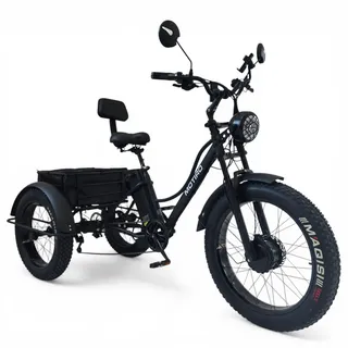 E Dreirad Fatbike Lastenfahrrad ektrisches dreirad 48V 15Ah Elektro Dreirad