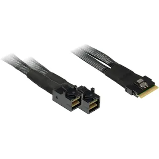 Inter-Tech Kabel SFF 8643 - SFF 8643 1m (88885640)