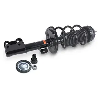 gh Federbein Komplett Federbein