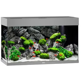 JUWEL AQUARIUM Rio 125 Komplett Aquarium grau