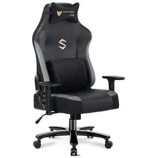 FANTASYLAB Gaming-Stuhl Massage, 180KG Belastbarkeit, 55x52cm Kissen, Verstellbare Armlehne 3D grau