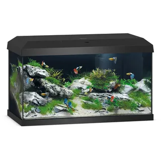 JUWEL AQUARIUM Primo 60 2,0 Aquariumkombination 57,0 l schwarz