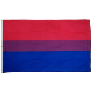 Flaggenfritze Fahne/Flagge Bi Pride - 150 x 250 cm + gratis Sticker, XXL-Fahne