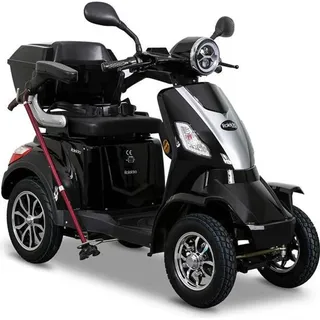 E-Quad 25 V.2 1000 Watt 25 km/h schwarz