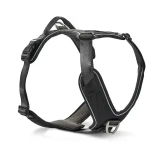 Wolters Active Pro Comfort Geschirr Gr.5 60-75 cm x 2,5 cm schwarz/ant