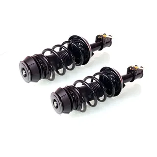 gh Federbein Komplett Federbein