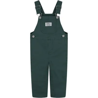 Levi's Carpenter Latzhose Grün 86