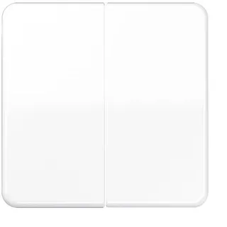 Jung Wippe aws für Taster CD 595 WW