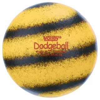 Volley Dodgeball