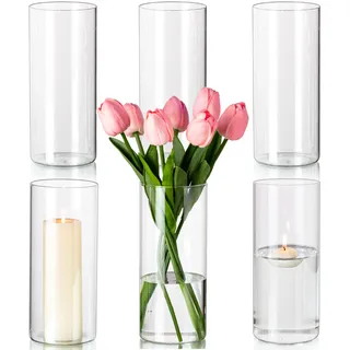 Hewory Glasvase Zylinder Vasen Set: 19cm Hohe Vase Glas 6er Glasvasen für Tischdeko Hochzeit - Kerzengläser Windlicht Glas Zylindervasen Set Glaszylinder für Kerzen Hochzeitsdeko Party Home Wedding