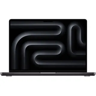 2024 M4 16 GB RAM 512 GB SSD 10-Core GPU Space Schwarz Z1DS-000100