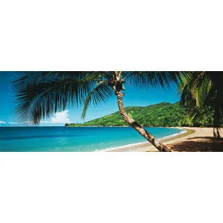 Papermoon Soft Water Stream Panorama 350 x 100 cm