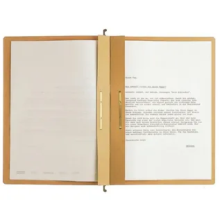 Leitz Hängehefter ALPHA® 1987 Karton naturbraun DIN A4 2x kaufmännische Heftung, 25 St.