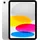 256 GB Wi-Fi + Cellular Silber
