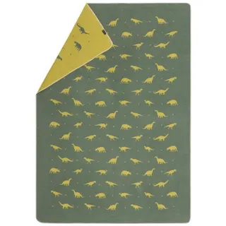 David Fussenegger Fussenegger JUWEL Kinderdecke 'Dinos allover' groß