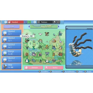 PVP Shiny Giratina Origin 6IV | LVL 100 | Pokemon Strahlender Diamant