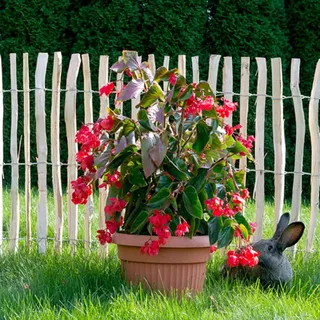 vidaXL Staketenzaun 90 x 500 cm Haselnuss