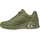 Olive 37,5