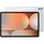 12,4" 256 GB Wi-Fi Platinum Silver