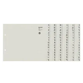 Leitz Kartonregister 1324-00-85, A bis Z, A4 halbe Höhe, 100 g/m2, graue Taben, 24 x 15-teilig 4002432328529 Leitz