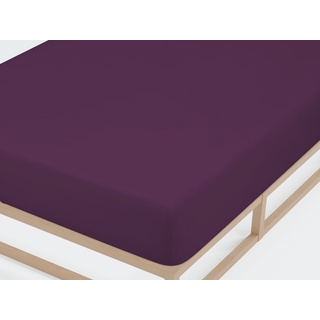 castell - markenbettwäsche Spannbettlaken Jersey 180 x 200 - 200 x 200 cm dunkel violett