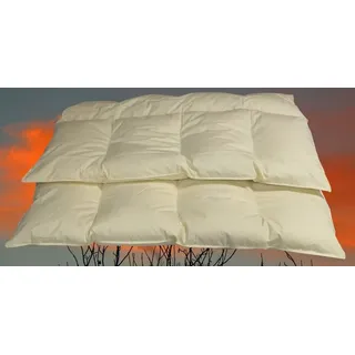 Betten Hofmann 4-Kammer Daunenbett Steppdecke Daunendecke 155x220 cm 1600 g  60% Daunenanteil - Weiß