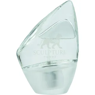 Nikos Sculpture Sculpture Homme Eau de Toilette 100 ml