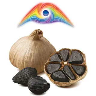 Hymor Schwarzer Knoblauch 1 - 10 Knollen 90 Tage fermentiert Spanien Las Pedroñeras