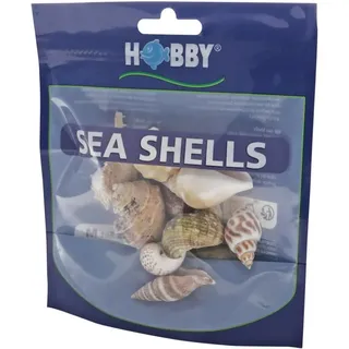 Hobby Aquaristik Sea Shells Set M 10