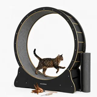 noviclass-shop Katzenlaufrad Baghira XXL Schwarz