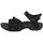 black/black 36