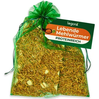 Lebende Mehlwürmer