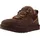 Dusted Cocoa 41
