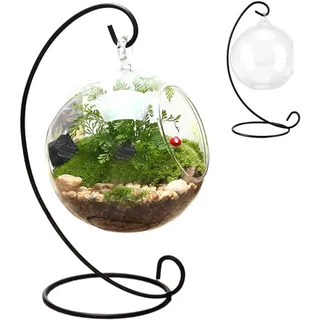Glasterrarien für Pflanzen Luftpflanzen-Terrarium mit schwarzem Eisenständer klare Glasterrarien für Pflanzen lustiges DIY-Luftpflanzen-Terrarium-Set zum Aufhängen