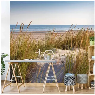 Bilderdepot24 Fototapete Strand & Meer Stranddüne Meer Natur Landschaft Maritim Meerblick, Glatt, Matt, (Vliestapete inkl. Kleister oder selbstklebend), Wohnzimmer Schlafzimmer Küche Flur Motivtapete Vliestapete Wandtapete beige 0.96 m x 0.96 m