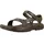 olive swirl 43