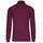 TRIGEMA TRIGEMA Ski und Sport-Rollkragenpullover 1-tlg rot XL 46/48