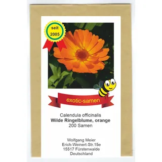 Orange Ringelblume Wildform - ungefüllt - Calendula officinalis - Bienenweide - Heilpflanze - 200 Samen