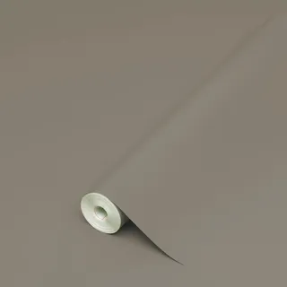 d-c-fix Selbstklebefolie Lack Uni taupe 45 cm x 2 m