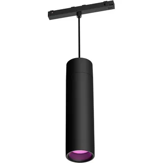 Philips Hue Perifo Hanglamp - Uitbreiding Geschikt voor Perifo Rails - Wit en Gekleurd Licht - Dimbaar - Verbind met Bluetooth of Hue Bridge - Werkt met Alexa en Google Home - Zwart