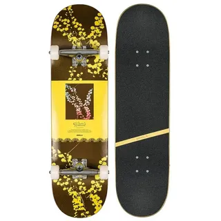 Impala Blossom Skateboard Wattle 8.5")