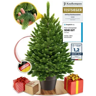 artitree Künstlicher Weihnachtsbaum künstlich (100% Spritzguss) -Naturgetreuer Tannenbaum im Topf 40-80 cm - 80