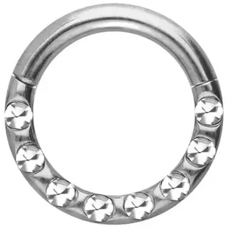 PIERCINGLINE Titan Segmentring Clicker KRISTALLE + EPOXY