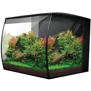 Fluval Flex 2.0 Aquarium Set 34 L, Nano Aquarium Komplettset mit geschwungener Frontscheibe, LED Beleuchtung mit Fernbedienung, integriertes 3-Stufen-Filtersystem, Fütterungsklappe und Düsenstrahlrohr