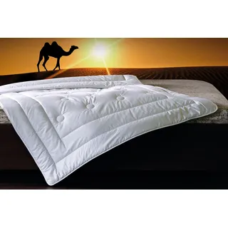 Naturhaarbettdecke BILLERBECK "Natur Classic 342 Brilliant, Bettdecken für Sommer und Winter, Decke", weiß, B:155cm L:220cm, Bezug: 100% Baumwolle. Füllung: 100% Kamelhaar, Bettdecken, Naturhaarbettdecke, Die temparaturregulierende Naturhaardecke