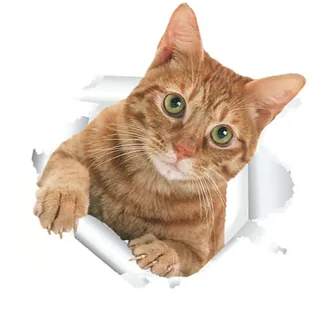 WHAMVOX Katze Toilettensitz Wandaufkleber abnehmbare PVC Tapete für Badezimmer WC Deckel Heimdekoration Wandtattoo Toilettenaufkleber Katzenmotiv