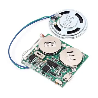 Lichtsensor Sound Modul MP3 Sound Chip Modul, mit 8 MB Speicher Micro USB Lautsprecher, für DIY Festival Grußkarte Kreative Geschenke Modelle Bastelarbeiten