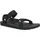 black 43