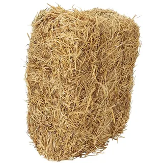 dehner lieblinge Dehner Strohballen, 7 kg