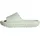 Wonder White / Wonder White / Wonder White 38